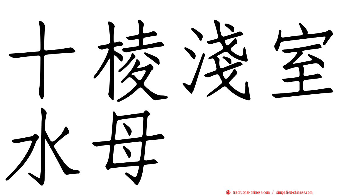 十棱淺室水母