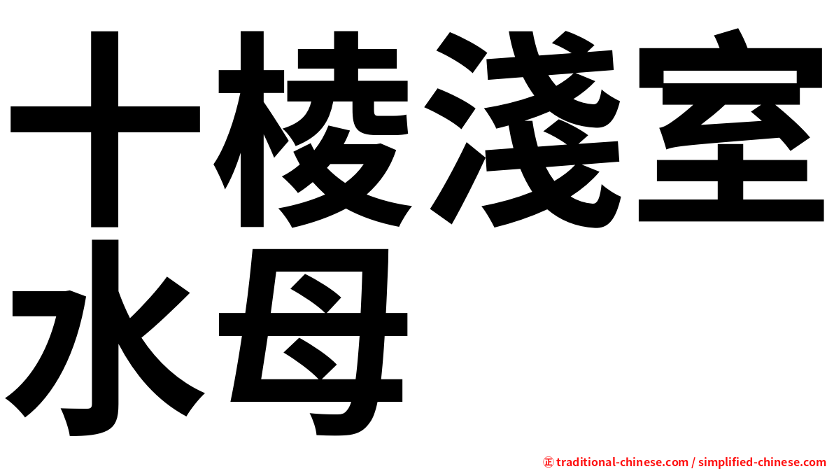 十棱淺室水母