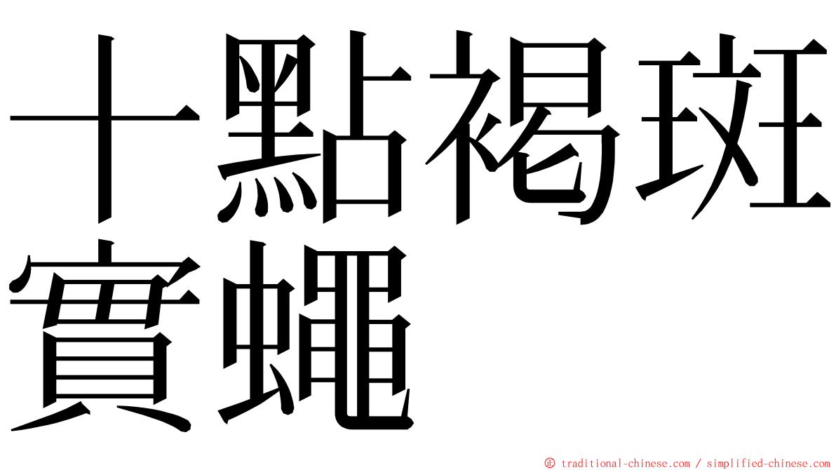 十點褐斑實蠅 ming font