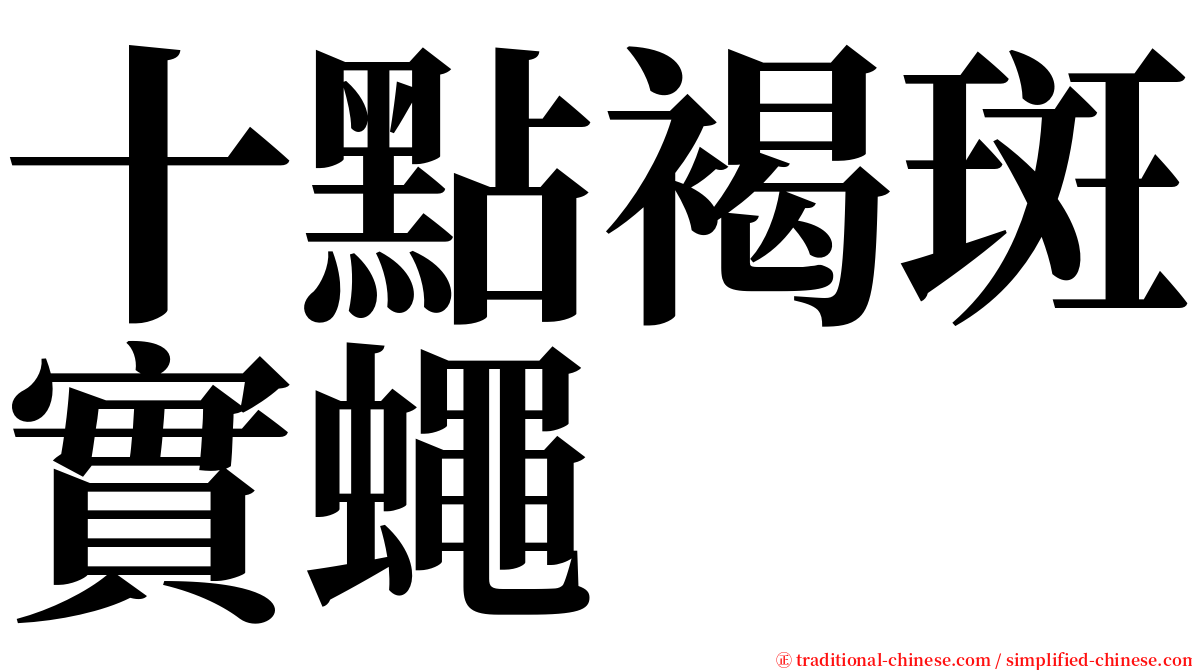 十點褐斑實蠅 serif font