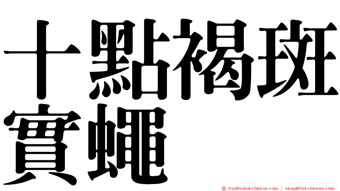 十點褐斑實蠅