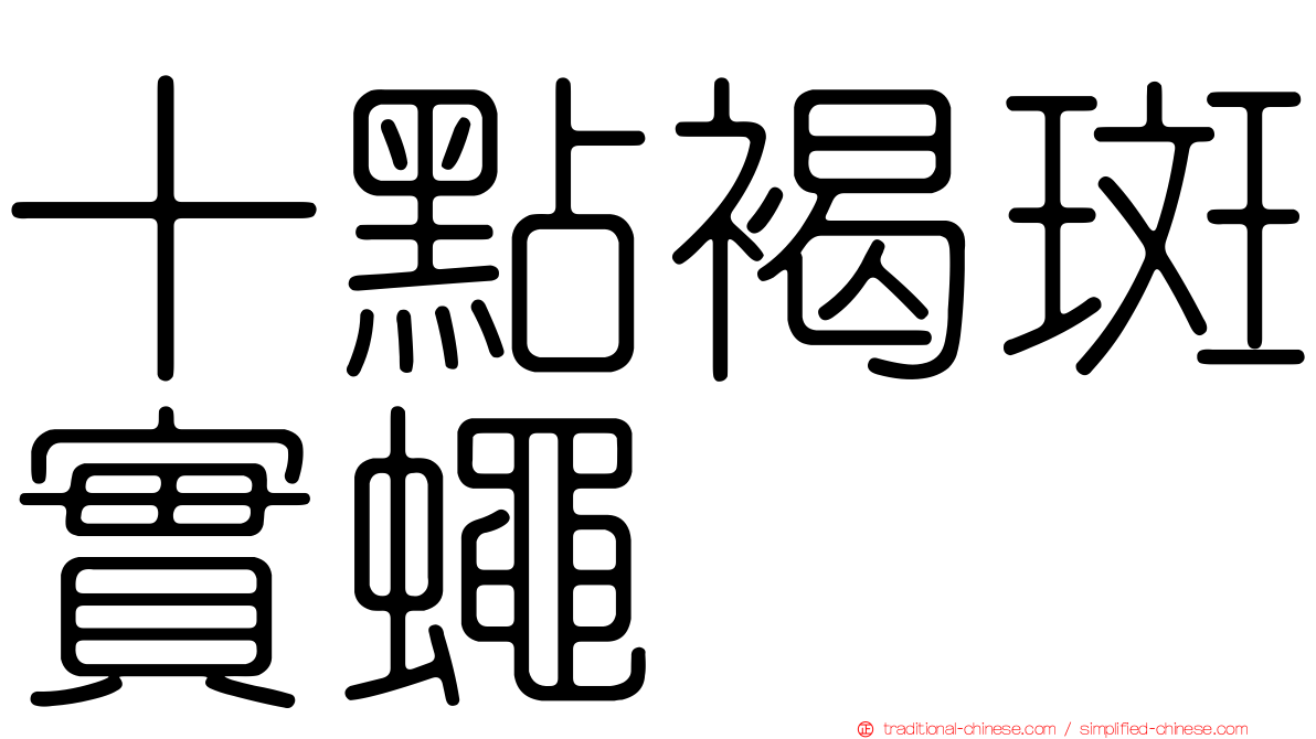 十點褐斑實蠅