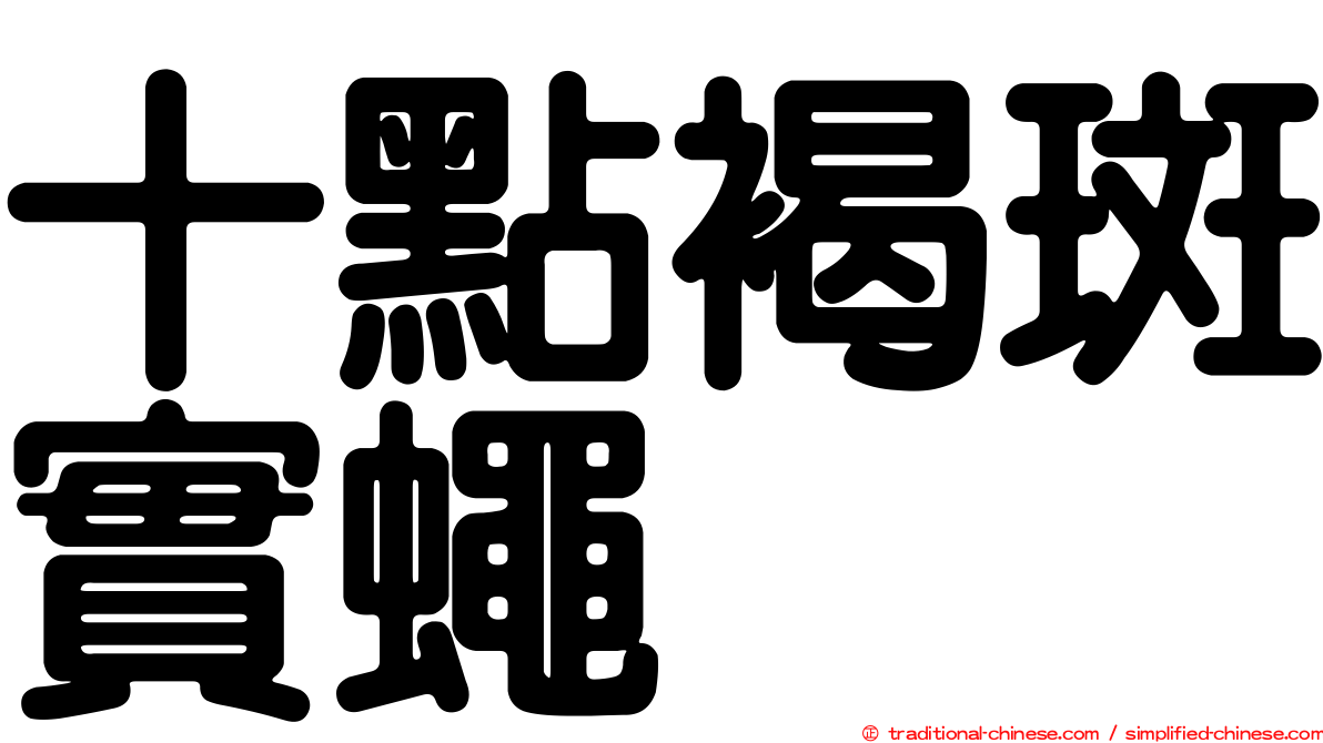 十點褐斑實蠅