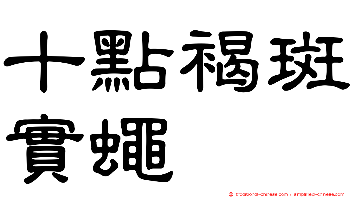 十點褐斑實蠅