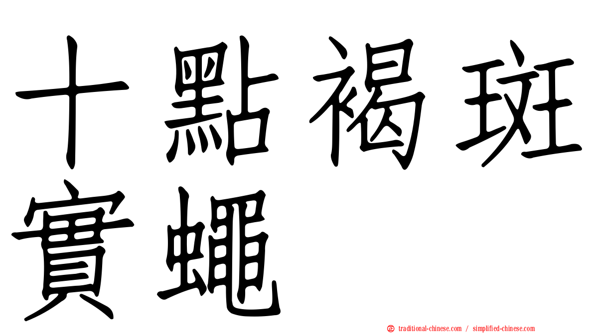 十點褐斑實蠅