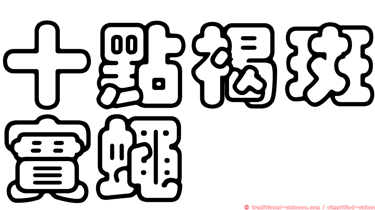 十點褐斑實蠅