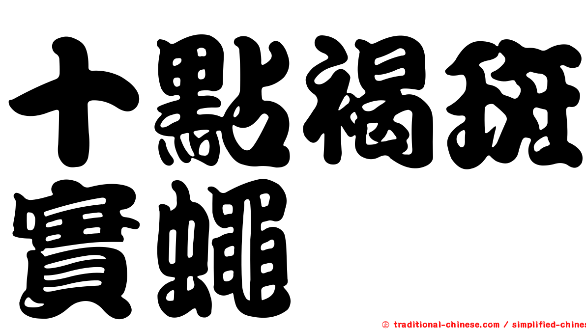 十點褐斑實蠅
