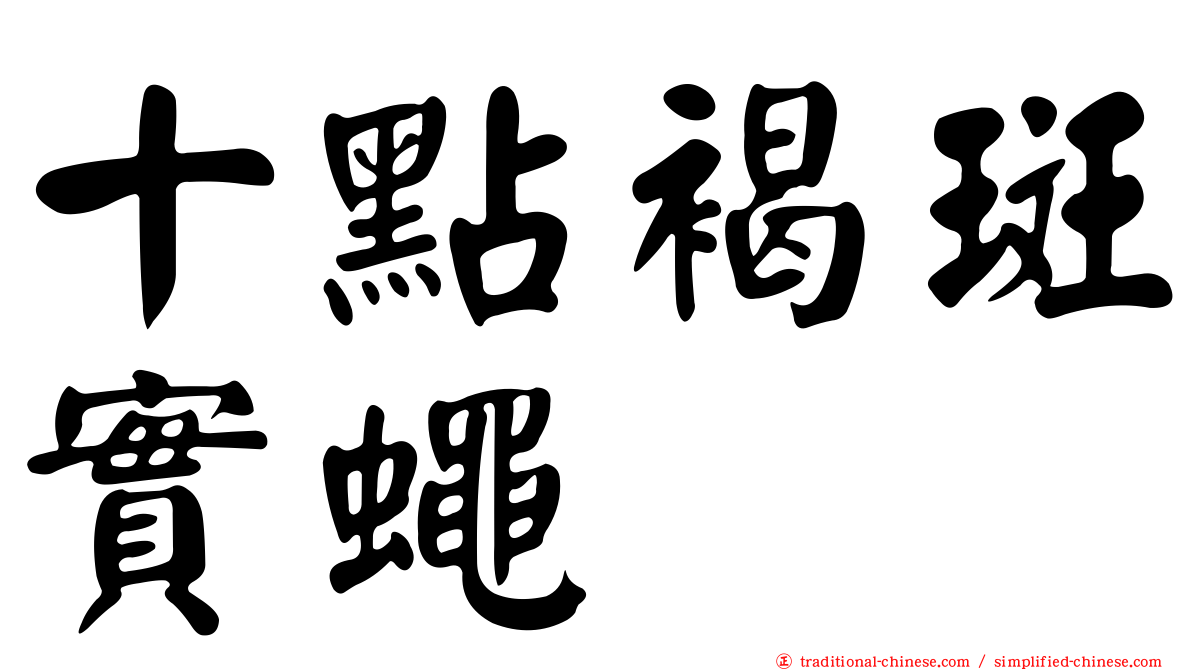 十點褐斑實蠅