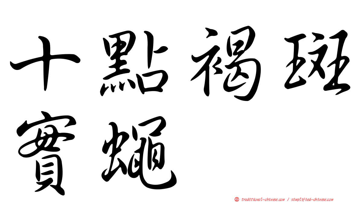 十點褐斑實蠅