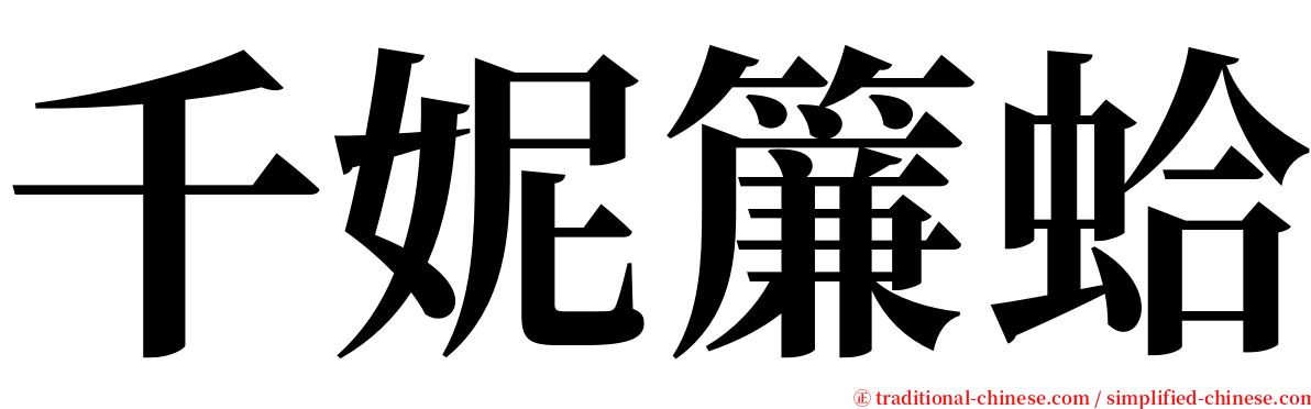 千妮簾蛤 serif font