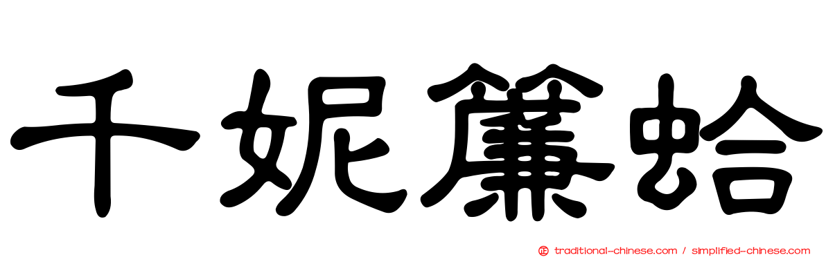 千妮簾蛤