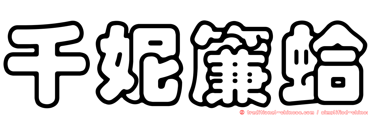 千妮簾蛤