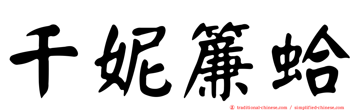 千妮簾蛤