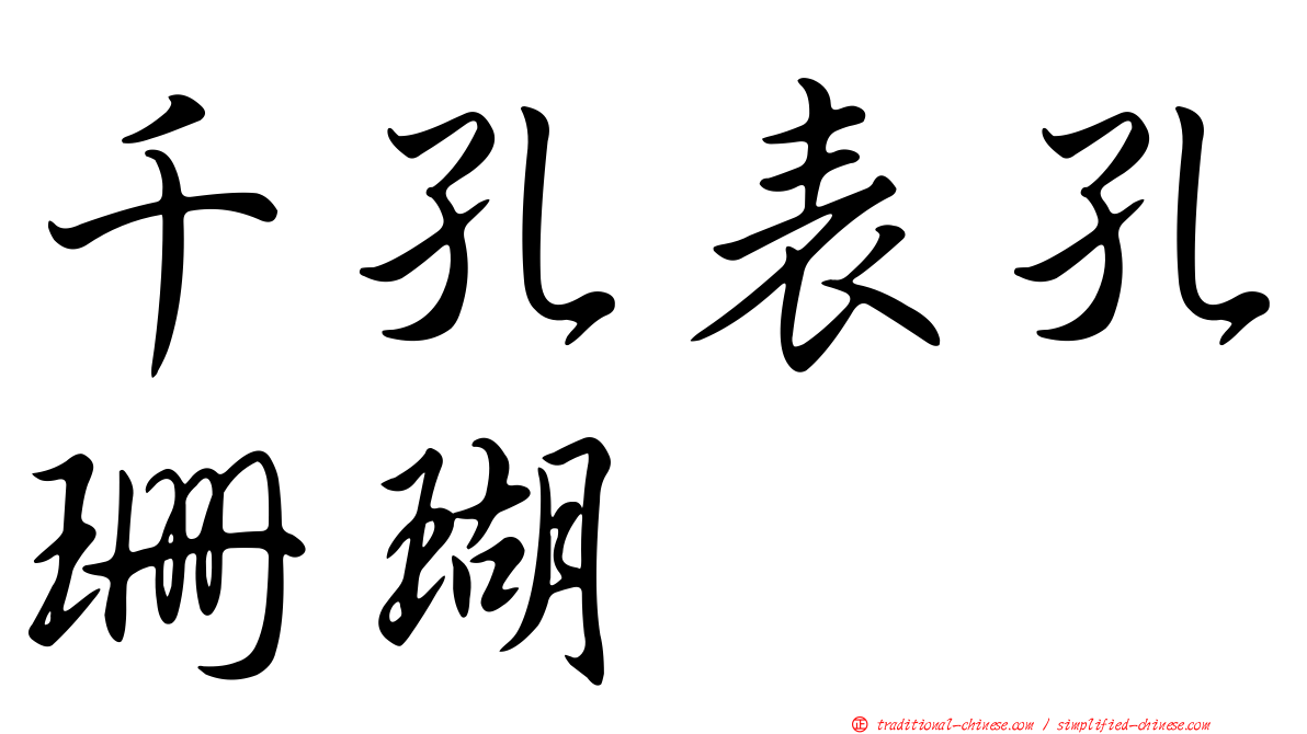 千孔表孔珊瑚