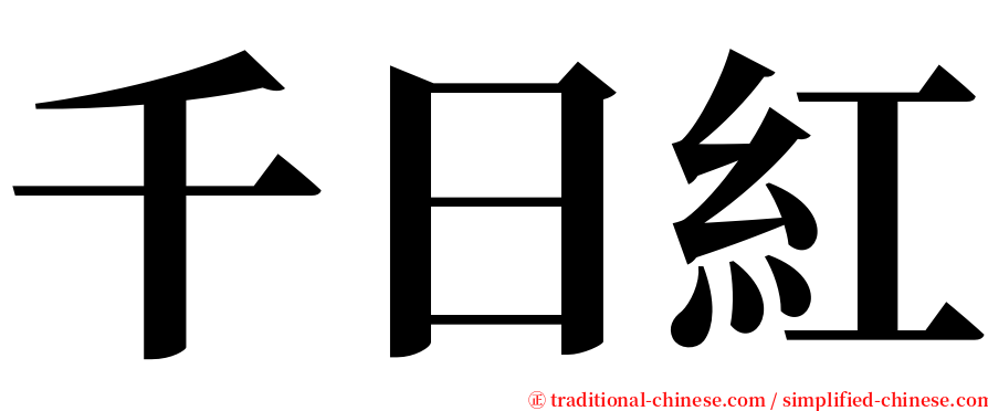 千日紅 serif font