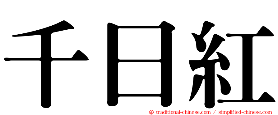 千日紅