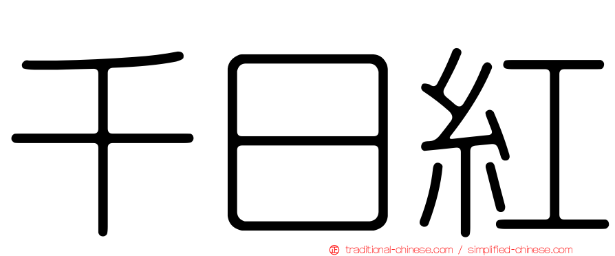 千日紅