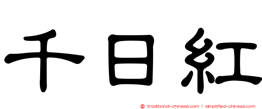 千日紅