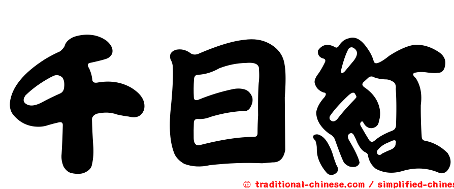 千日紅