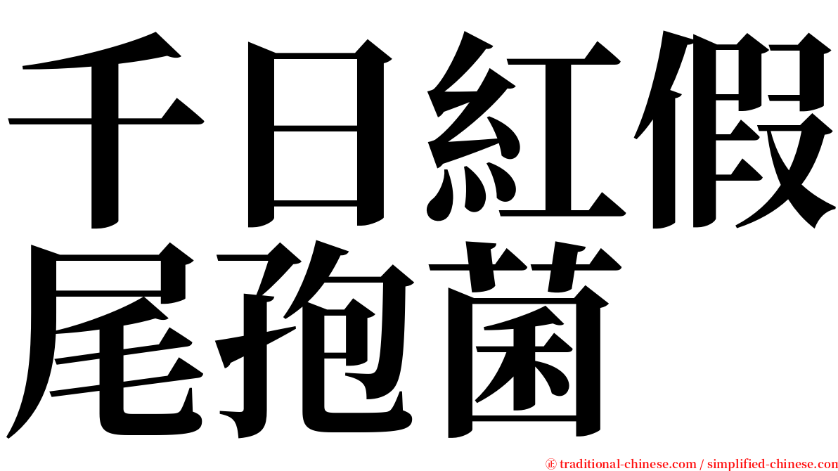 千日紅假尾孢菌 serif font