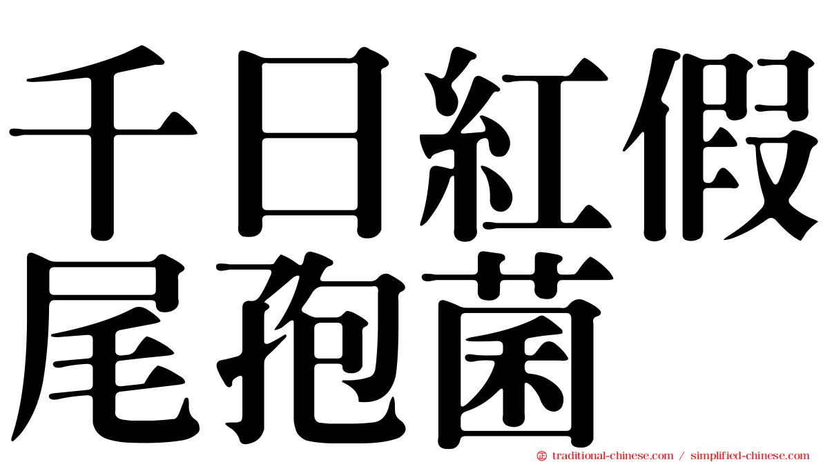 千日紅假尾孢菌