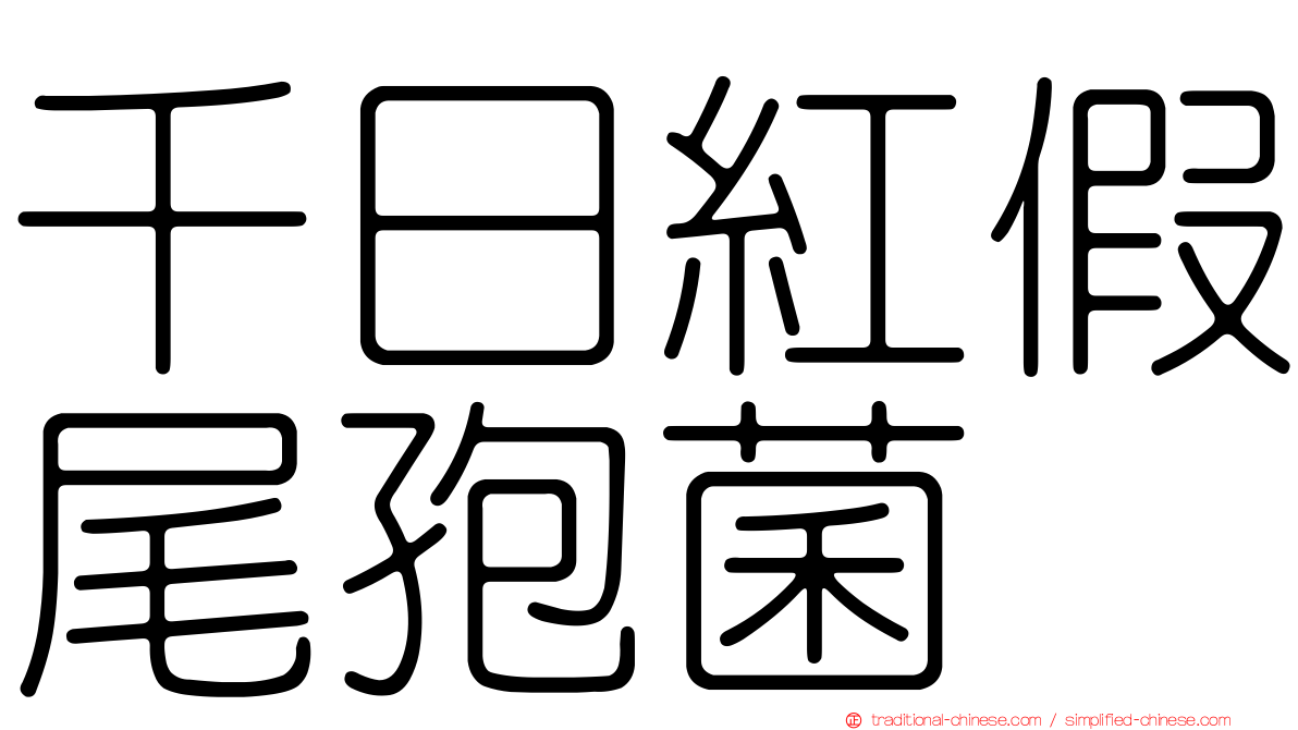 千日紅假尾孢菌