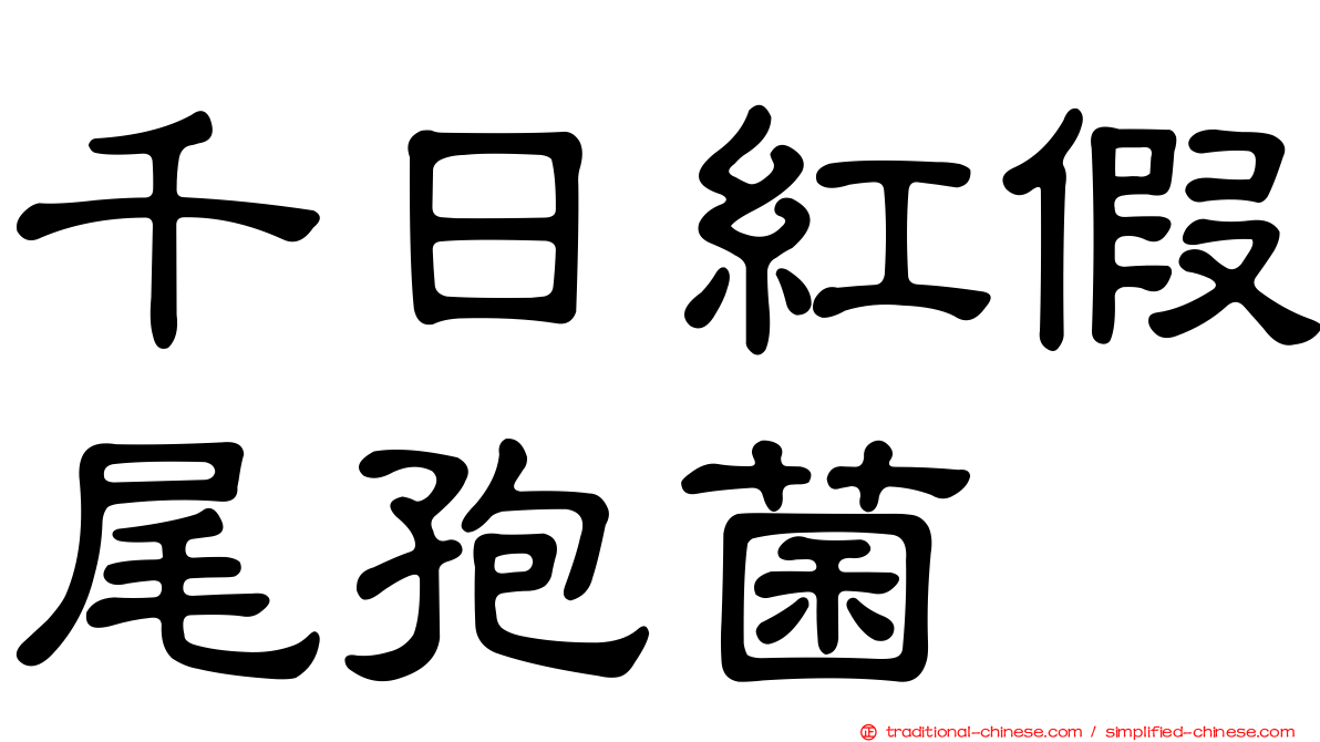千日紅假尾孢菌