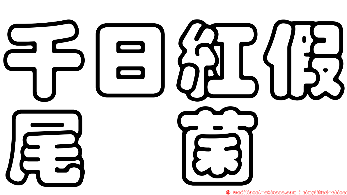 千日紅假尾孢菌