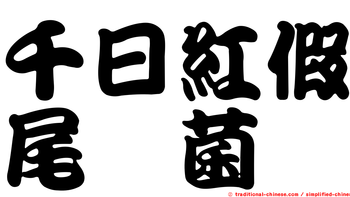 千日紅假尾孢菌