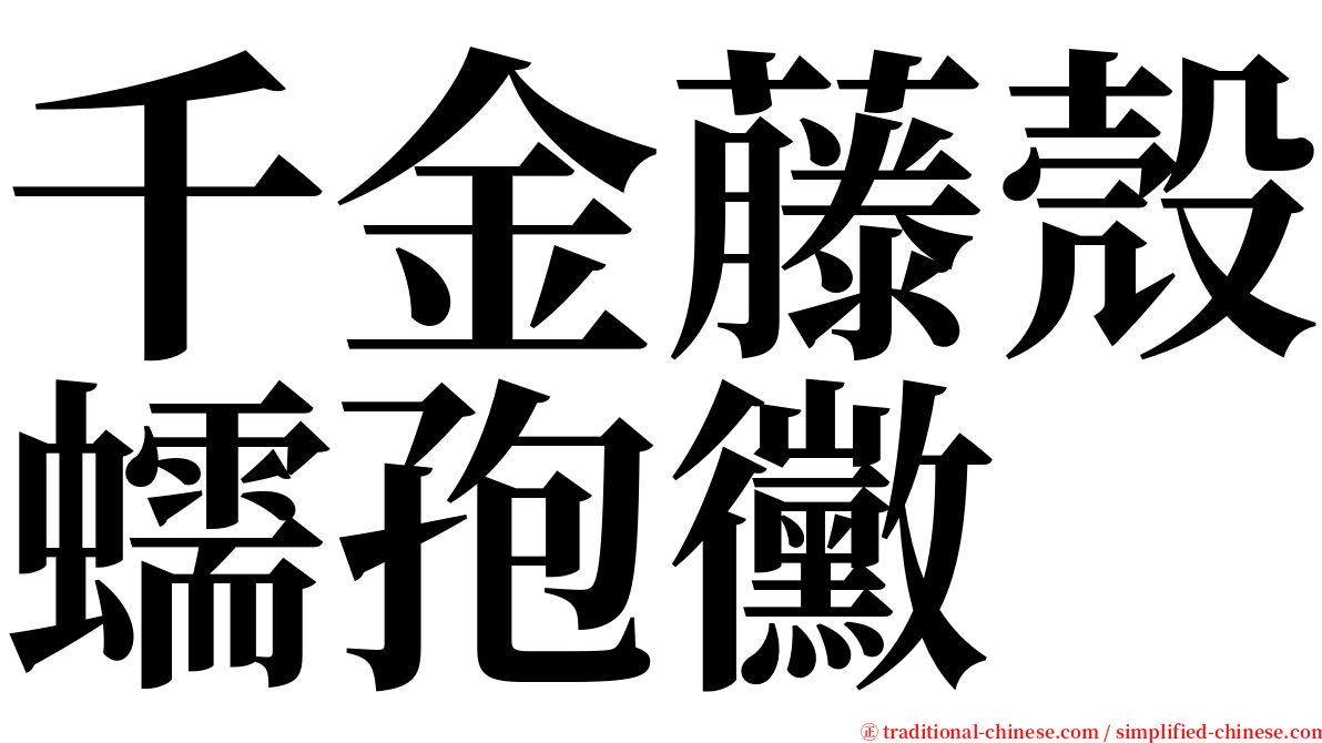 千金藤殼蠕孢黴 serif font
