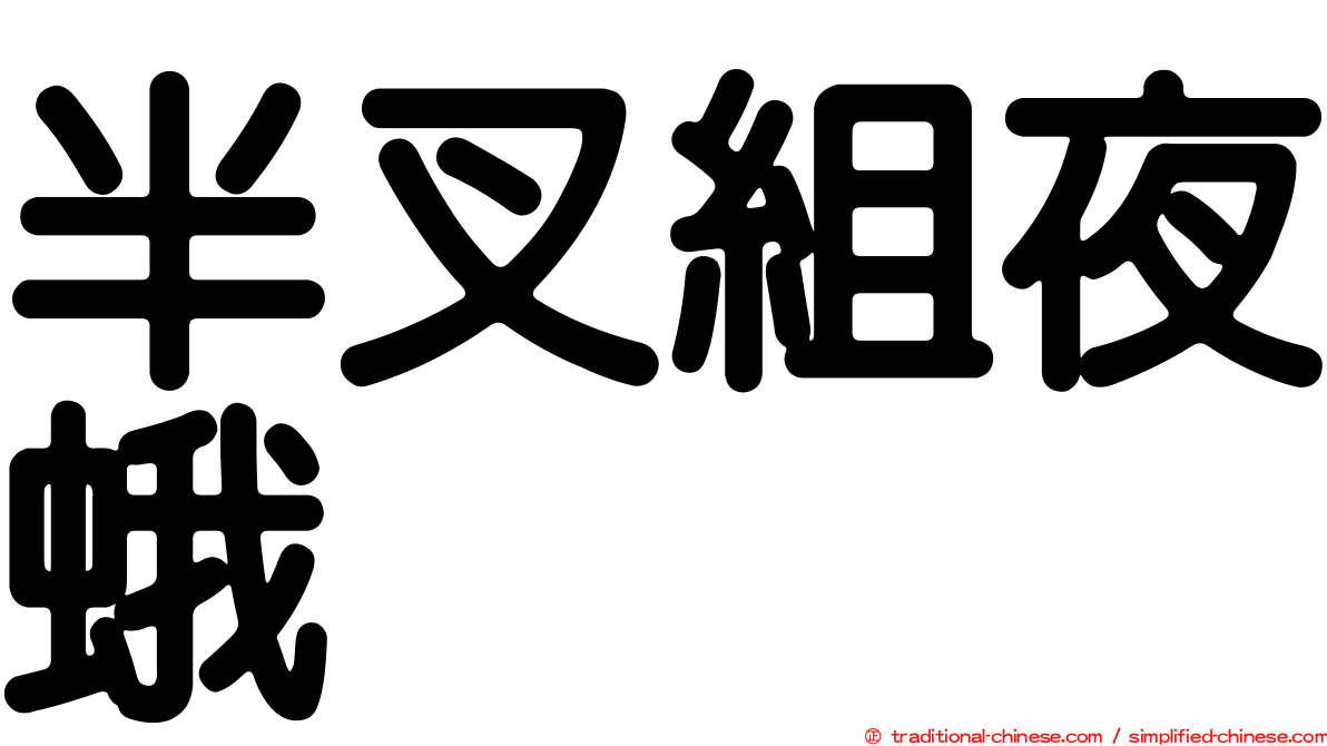 半叉組夜蛾