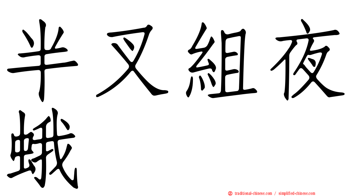 半叉組夜蛾