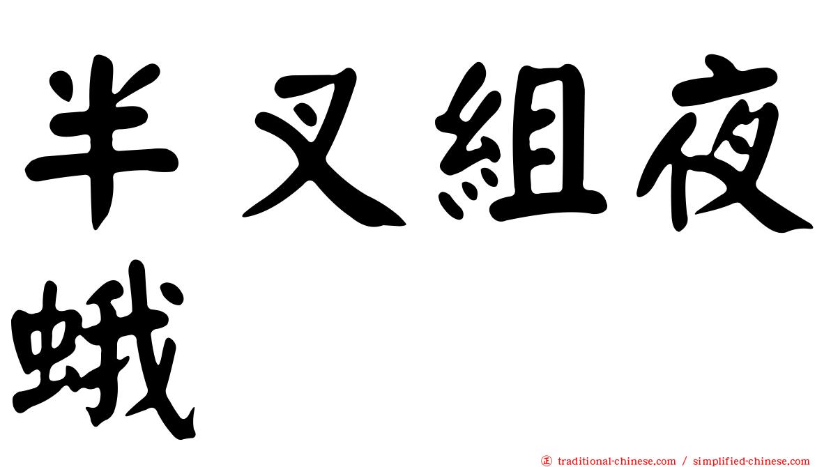 半叉組夜蛾