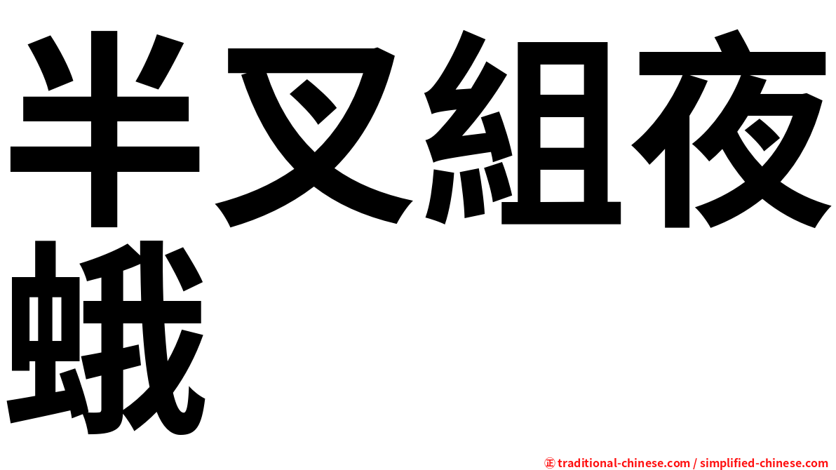 半叉組夜蛾