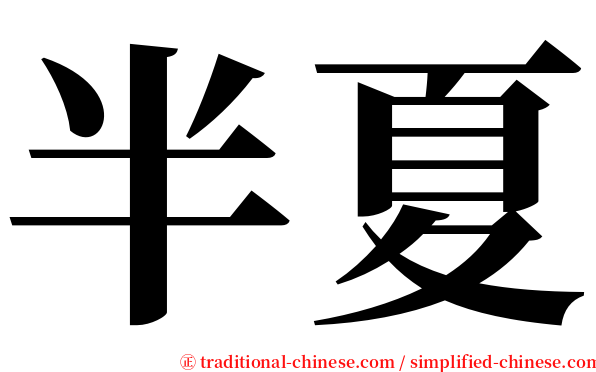 半夏 serif font