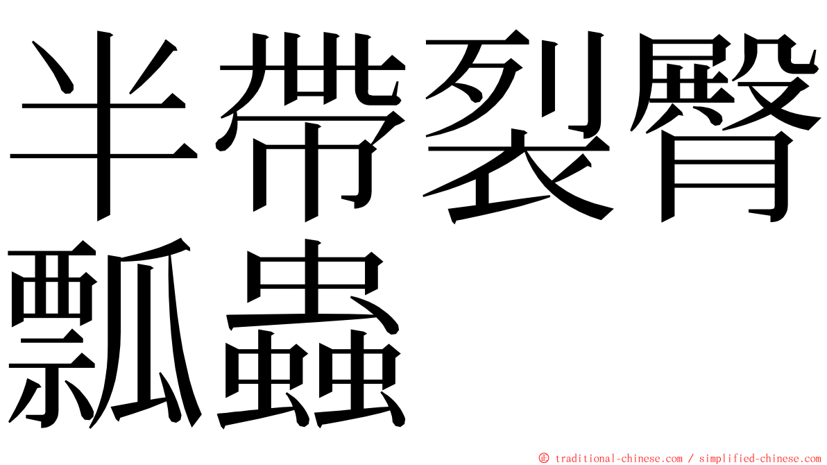 半帶裂臀瓢蟲 ming font