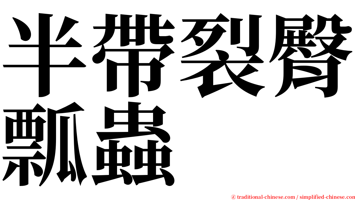 半帶裂臀瓢蟲 serif font