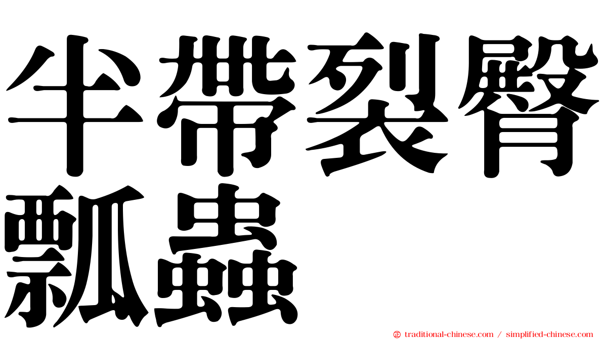 半帶裂臀瓢蟲