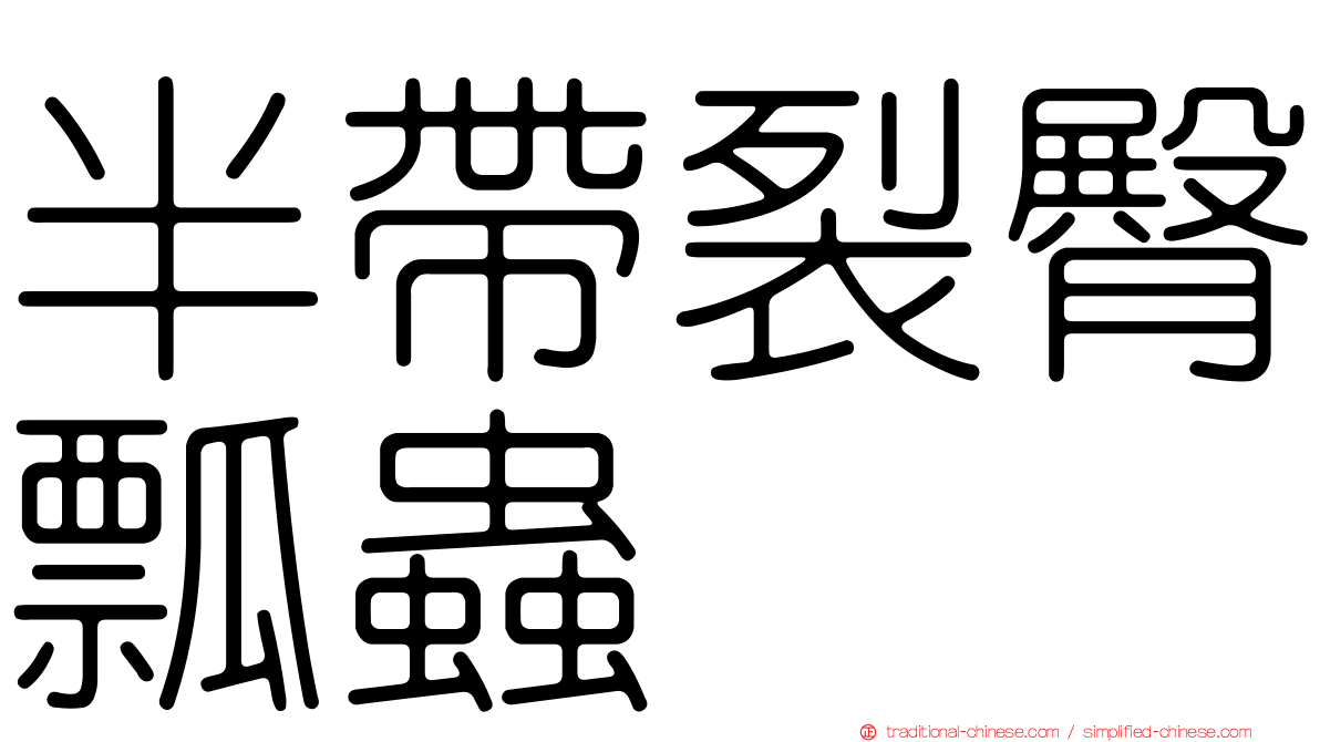 半帶裂臀瓢蟲