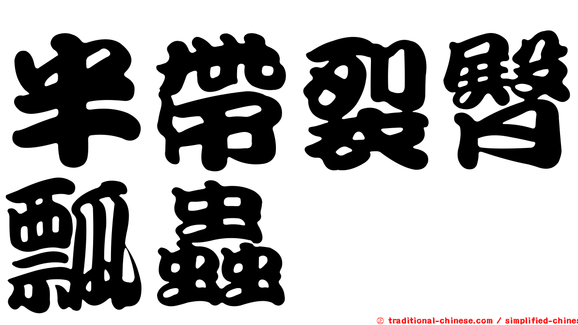 半帶裂臀瓢蟲