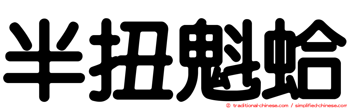 半扭魁蛤