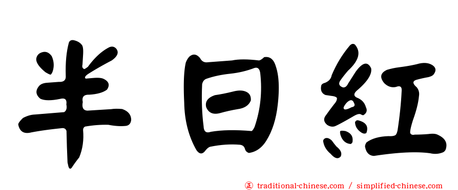 半日紅