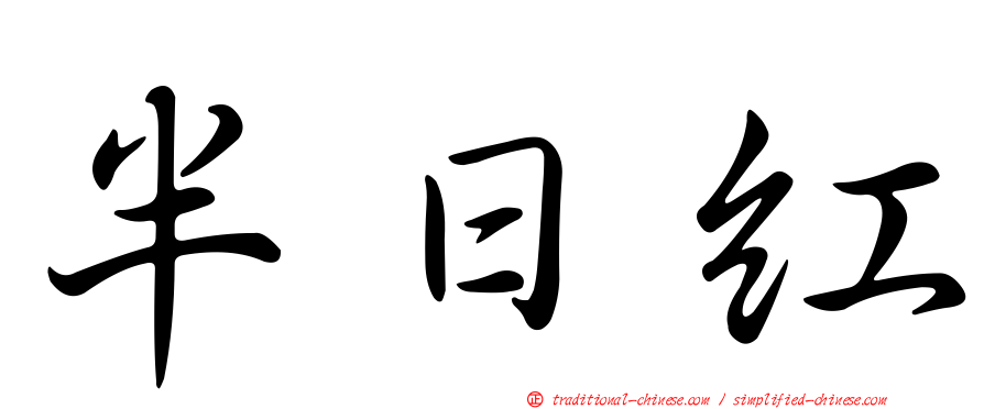 半日紅