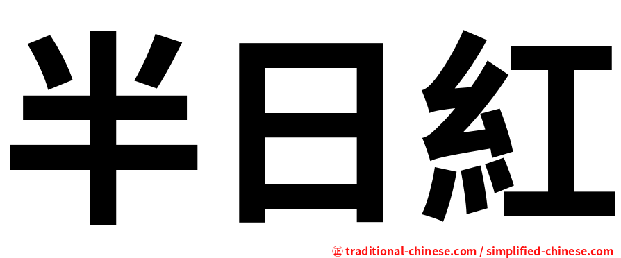 半日紅