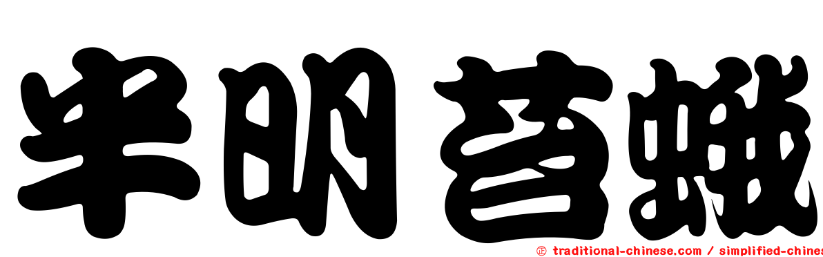 半明苔蛾