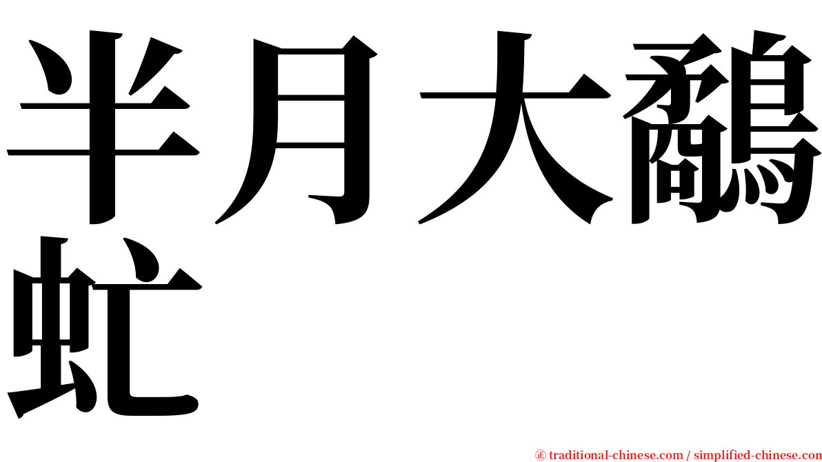半月大鷸虻 serif font