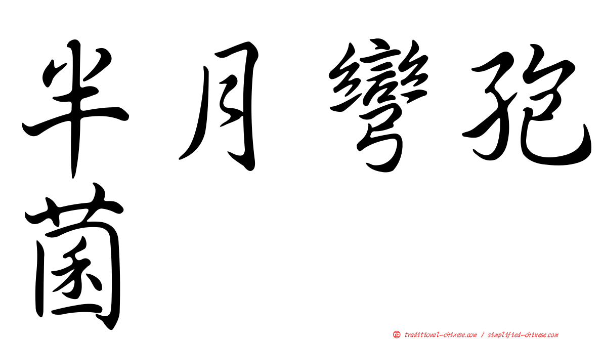 半月彎孢菌