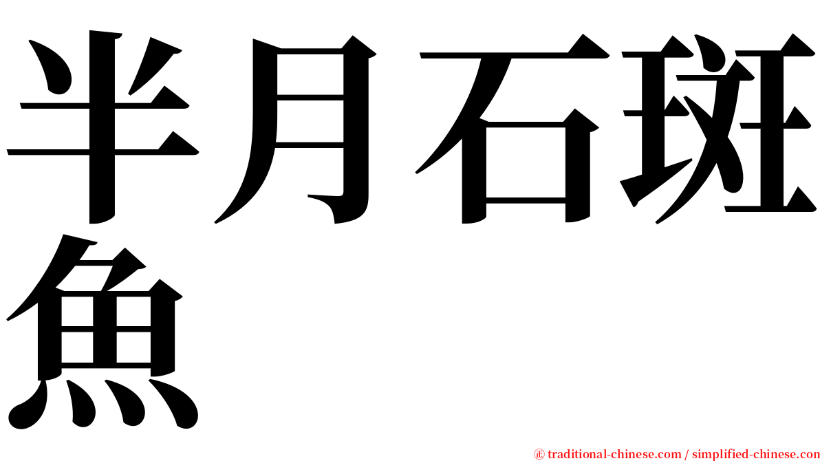 半月石斑魚 serif font