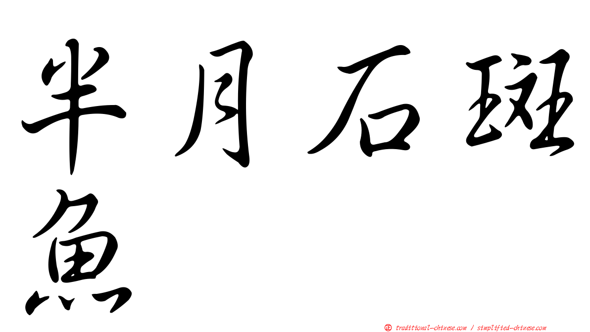 半月石斑魚