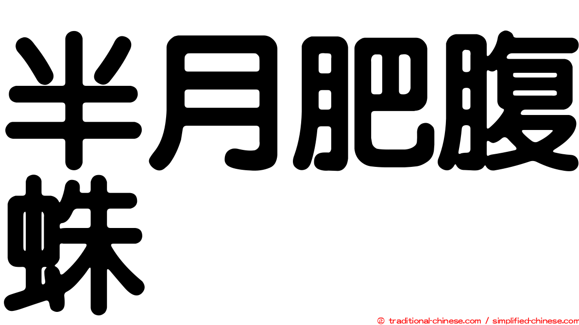 半月肥腹蛛